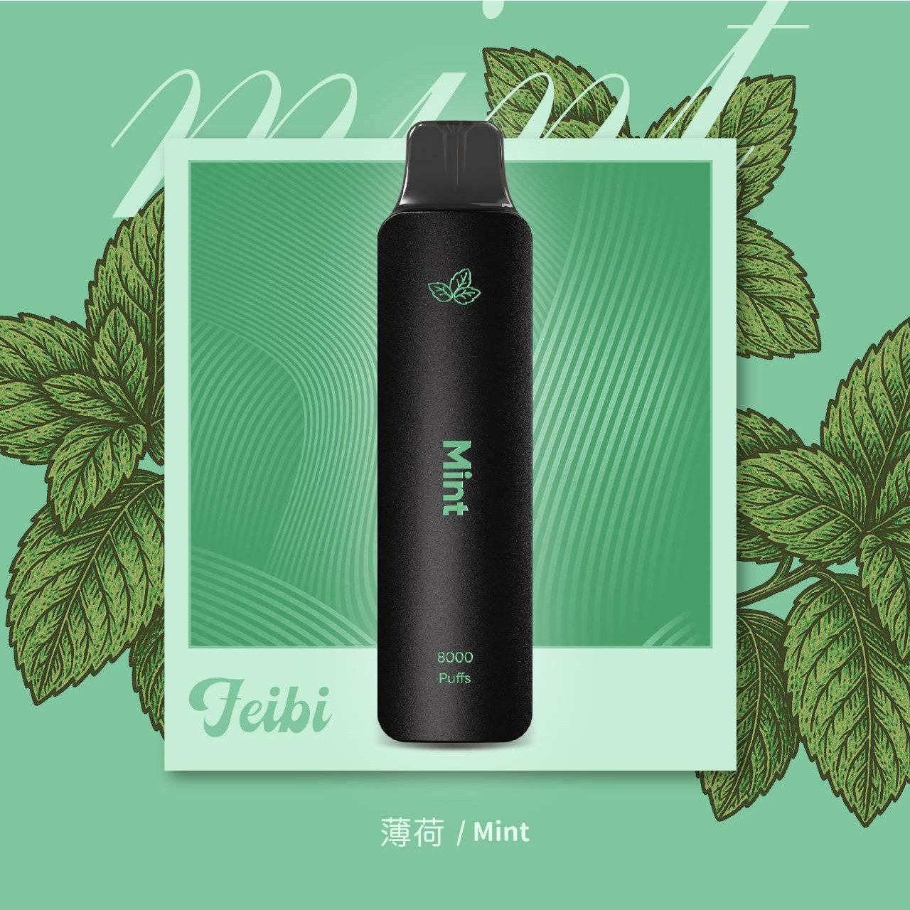 <p>Feibi 菲比 8000口<br />
拋棄式/一次性</p>